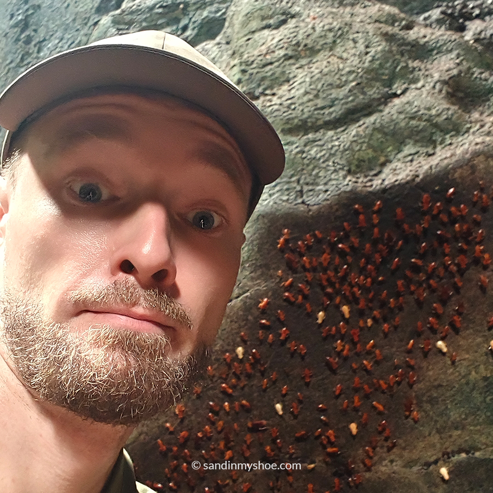 Petteri posing with cockroaches inside Gomantong Caves on a sideactivity of the Borneo safari