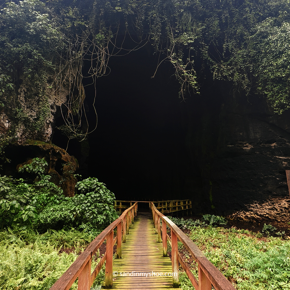 Gomatong caves visited after a kinabatangan river cruise safari.