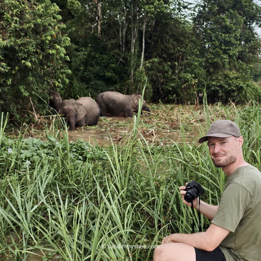 Watching Borneo pygmy elephants near Kinabatangan River, an unforgettable highlight for a 3-week Malaysia itinerary