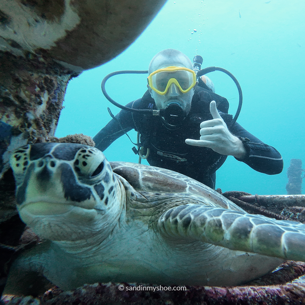 Petteri posing with a turtle while diving in East Malaysia – a must-do experience on any Malaysia travel budget itinerary