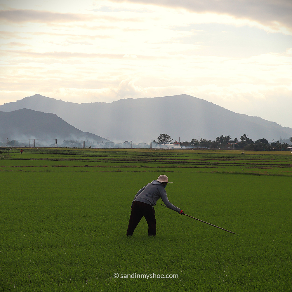 Scenic view of Hoi An ancient town in Vietnam – a must-visit stop when deciding how many days are enough to explore Vietnam