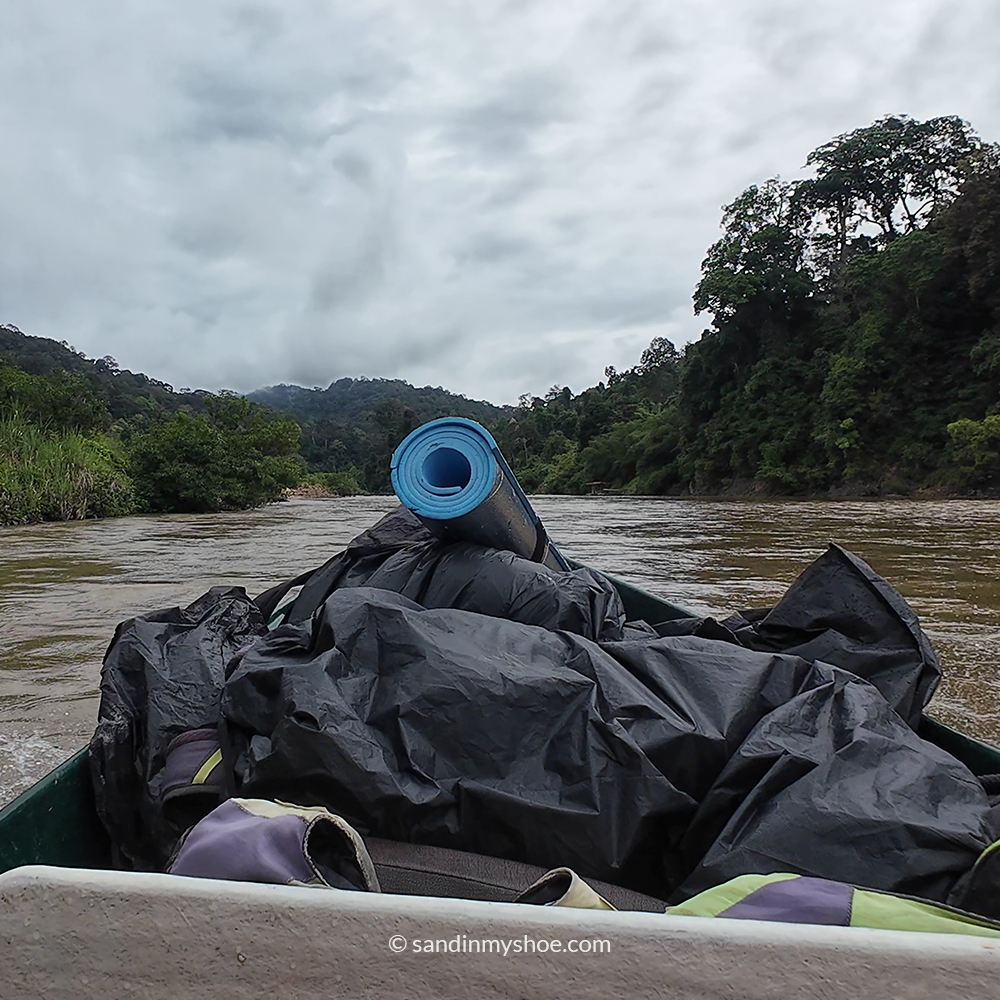 Longboat ride through rainforest to trek start in Taman Negara