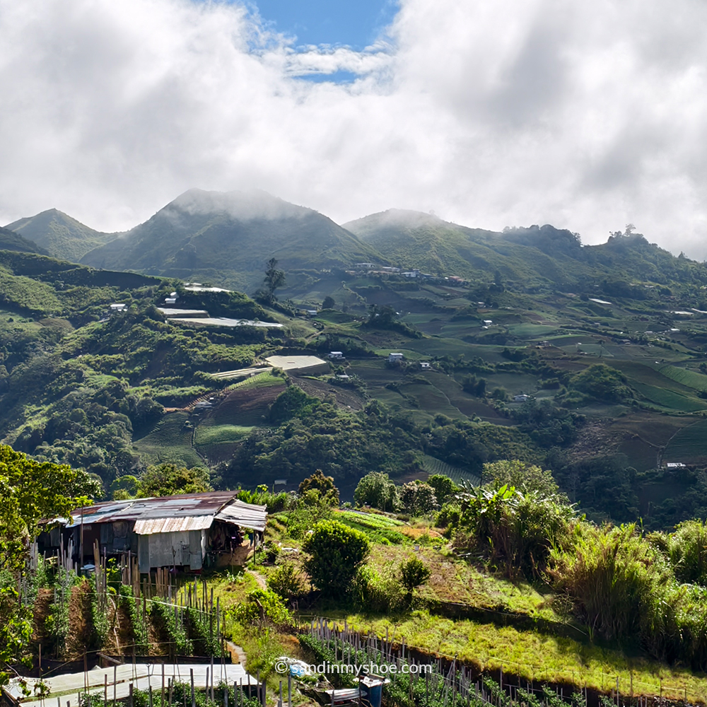 Misty farmland in Kundasang with scenic mountain views