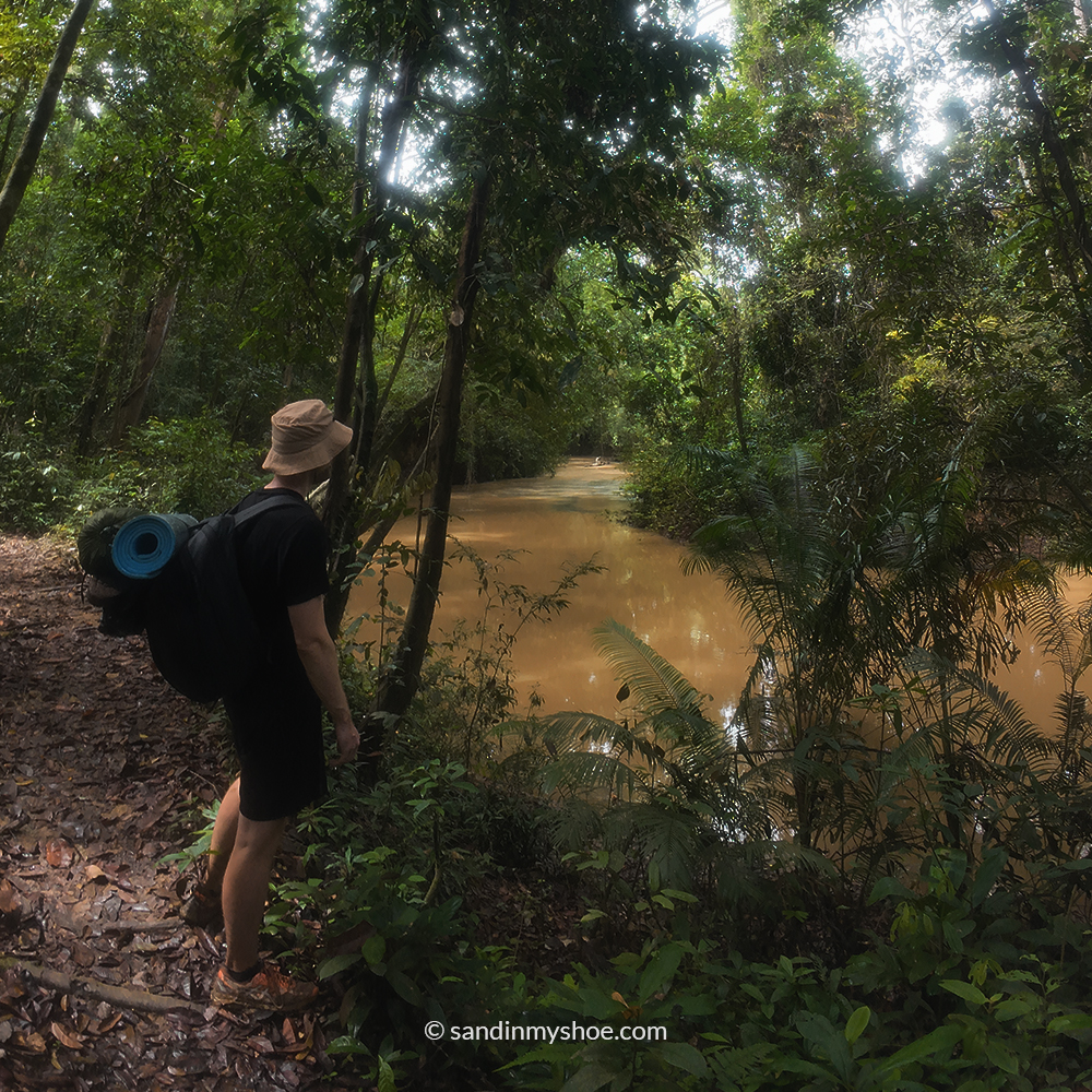Petteri deep in thought while trekking through the lush jungle of Taman Negara, reflecting on whether travel Southeast Asia was truly his path