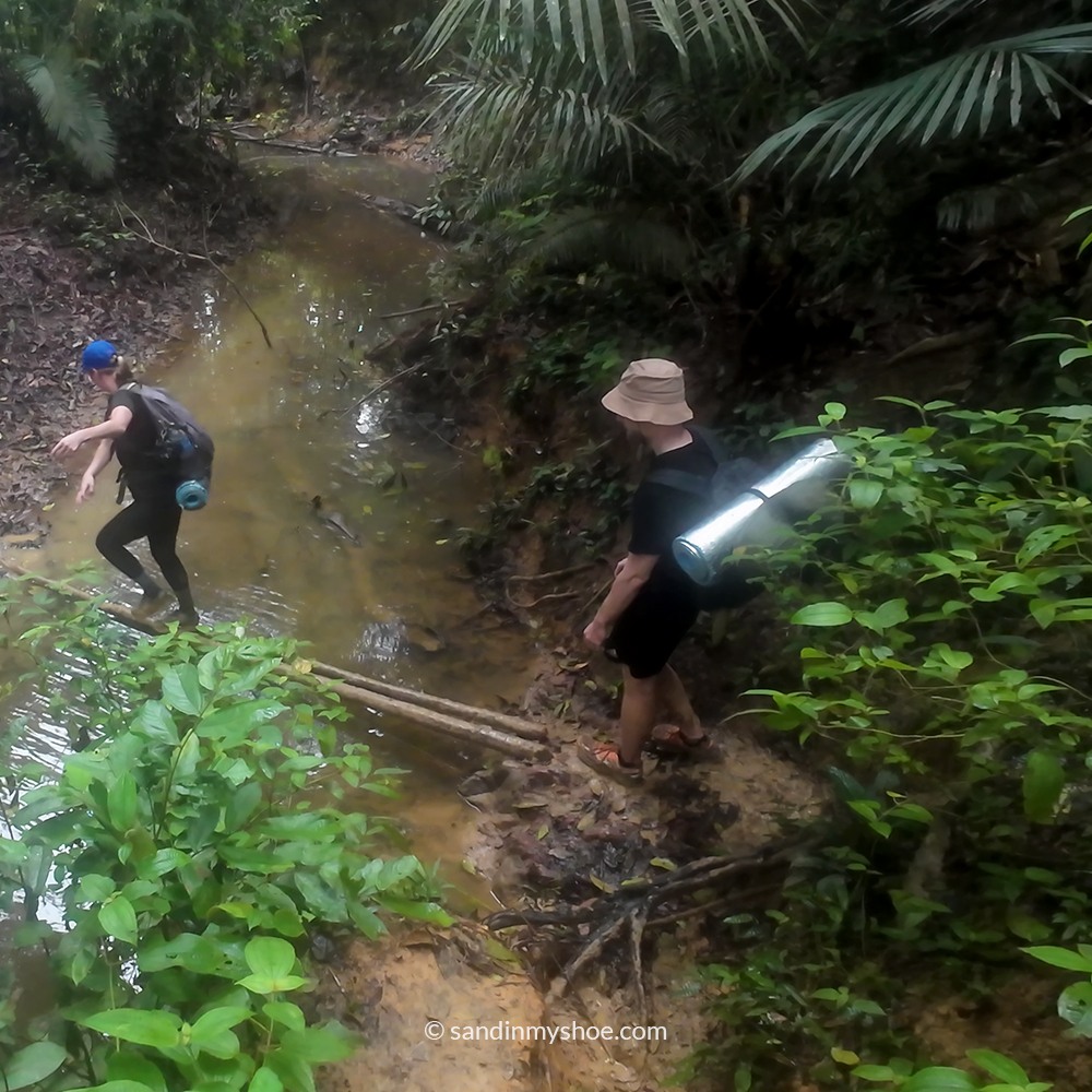 Petteri crossing a small puddle during Taman Negara jungle trek