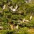 Colorful birds spotted inside a Sri Lanka national park