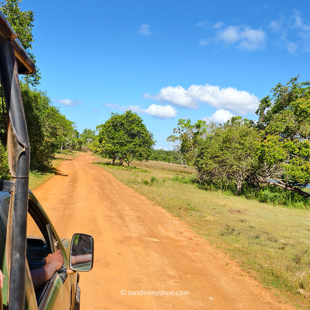Safari jeep driving through a dirt road in a national park in Sri Lanka