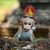 Baby monkey curiously watching hikers on a Sigiriya hikes trail.