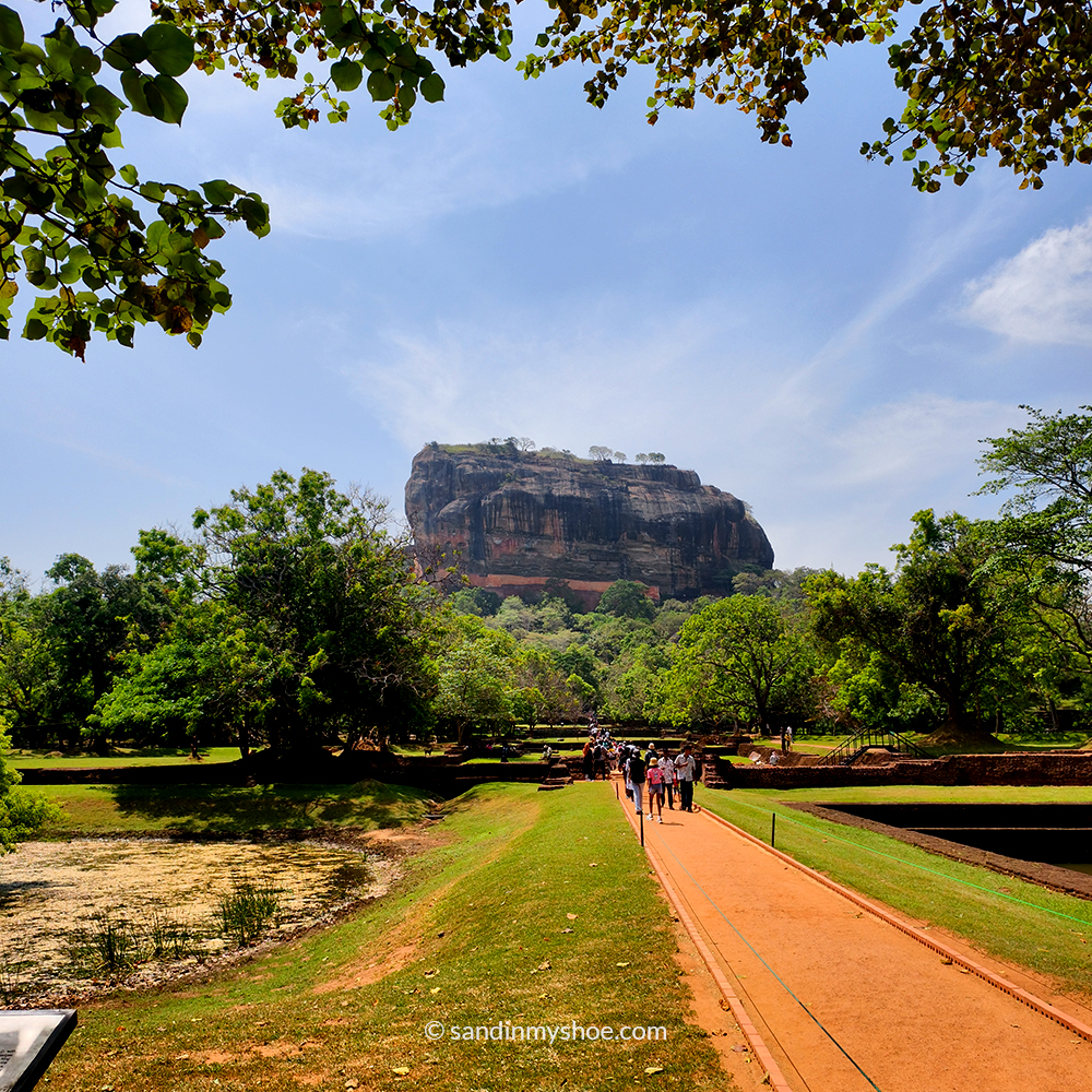 Iconic view of Lion Rock seen on Sigiriya hikes from Pidurangala.