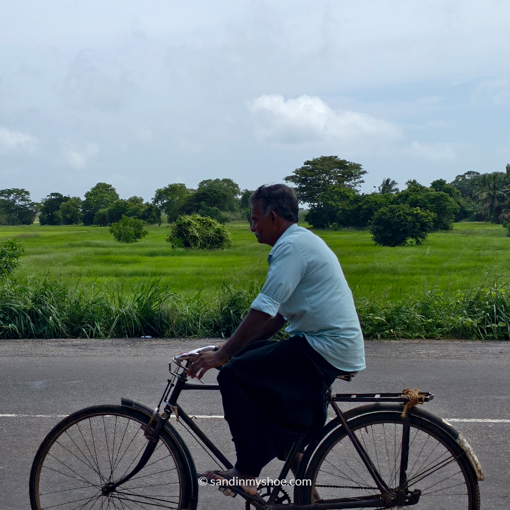 Local cyclist on a rural road, a common sight on Sri Lanka tuk tuk itineraries through small villages.