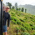 Petteri hanging from a moving train, a classic Sri Lankan experience included between tuk tuk route segments.