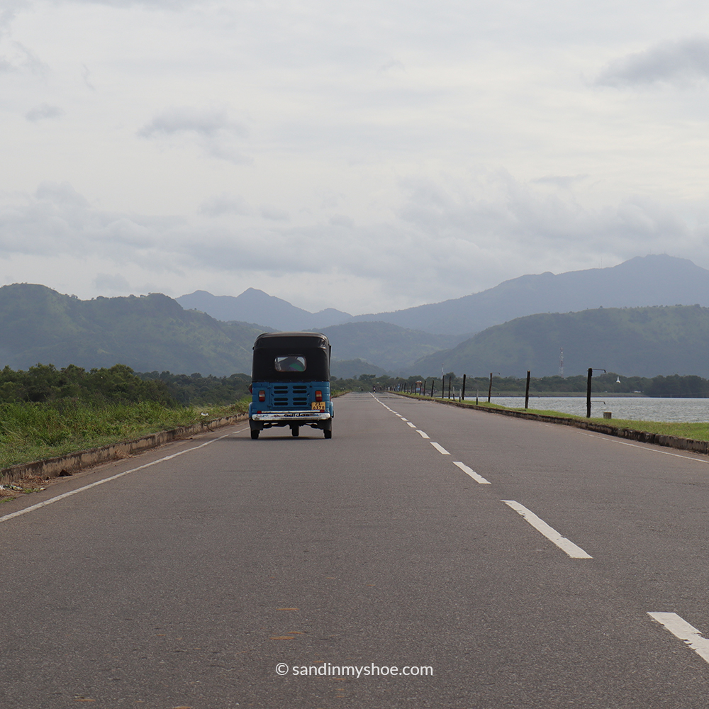 Wide open road in Udawalawe National Park area, perfect for tuk tuk travel on a southern Sri Lanka itinerary.