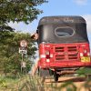 Back view of Petteri sitting on a Sri Lanka tuk tuk, looking at the camera before beginning his tuk tuk itinerary.