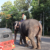 A elephant crossing the road—an unforgettable moment on a Sri Lanka tuk tuk route.