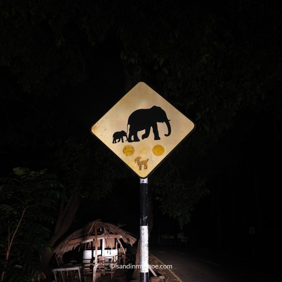Tuk Sign Sri Lanka Off Script: Tuk-Tuks, Wildlife & Detours