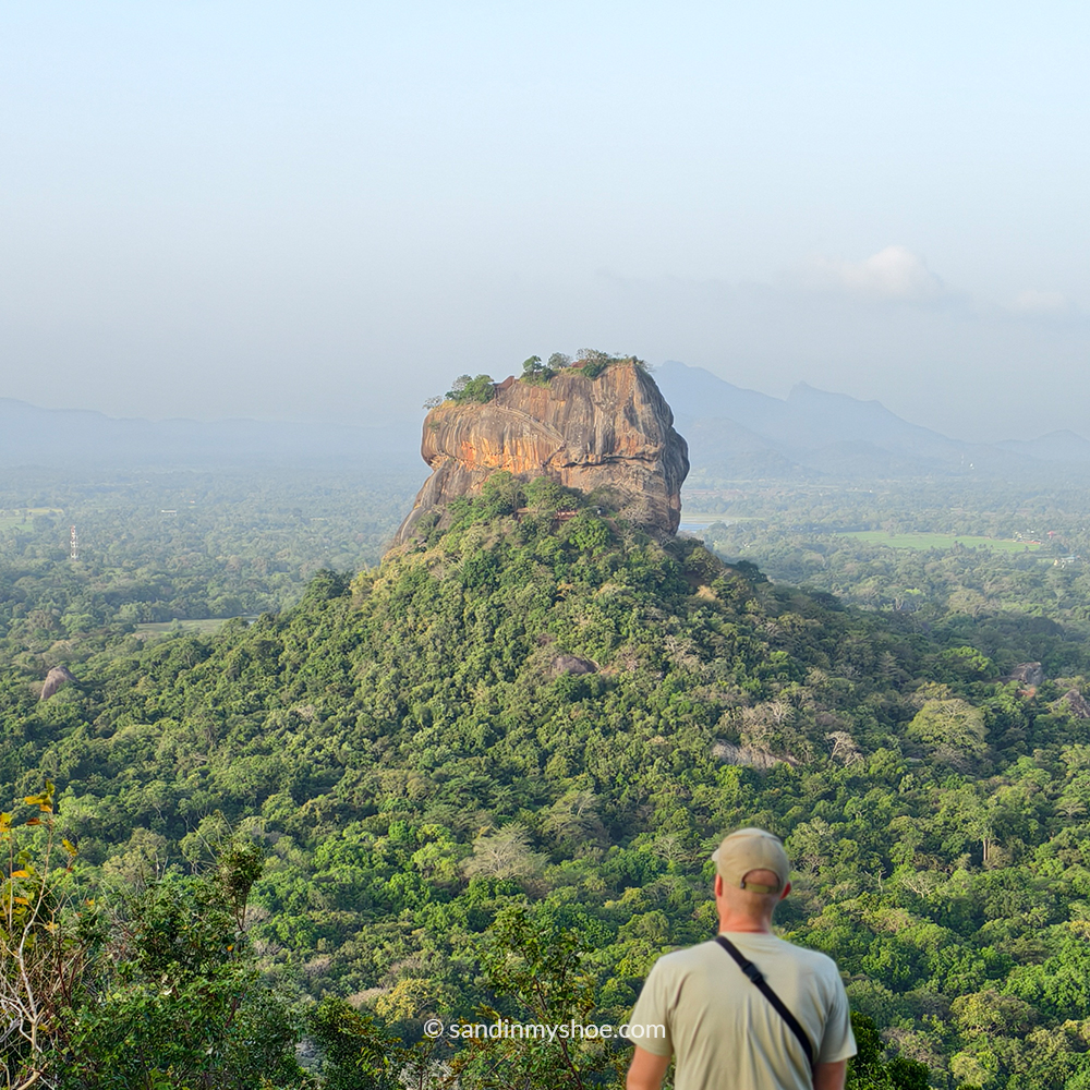 Petteri gazing at Lion Rock from Pidurangala summit on a Sigiriya hike.