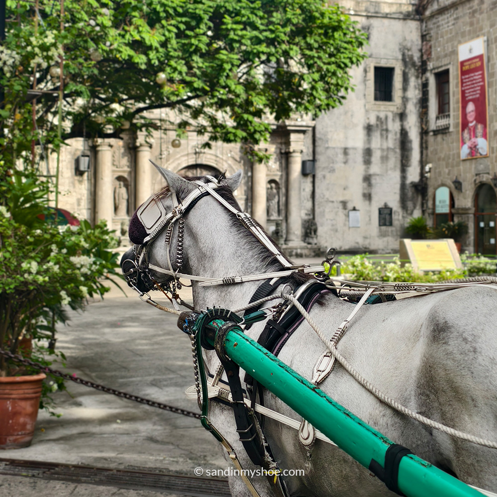 Traditional kalesa carriage touring Intramuros, Manila’s historic district