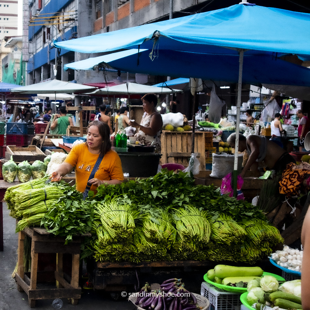 Market vendor arranging fresh vegetables with care in Manila