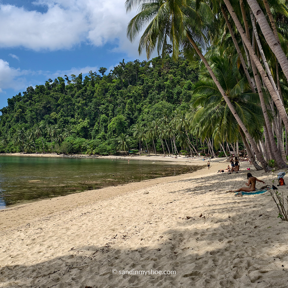 Coconut beach, Port Barton, Philippines