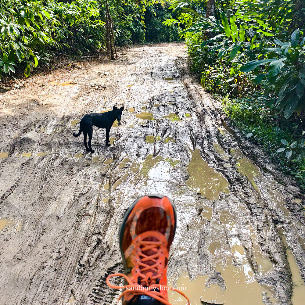 Petteri on his way to the best beach in Palawan — Coconut Beach, Port Barton, Philippines