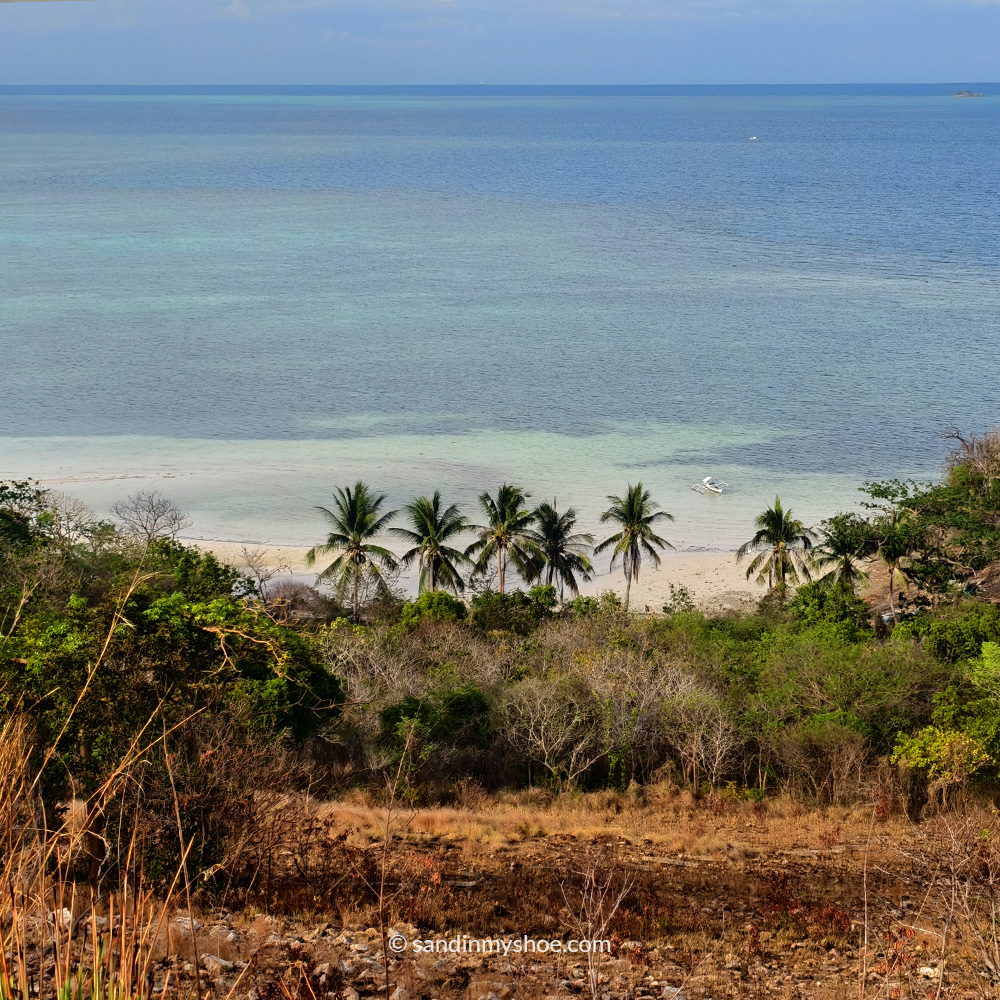 Remote white‑sand beach with palm trees and clear blue water in the Philippines.