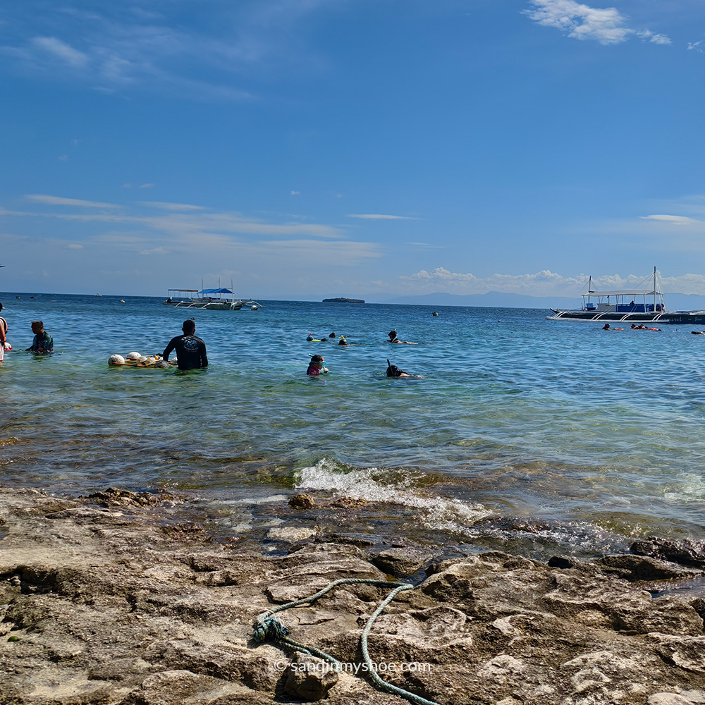 Monad shoal shore in Moalboal