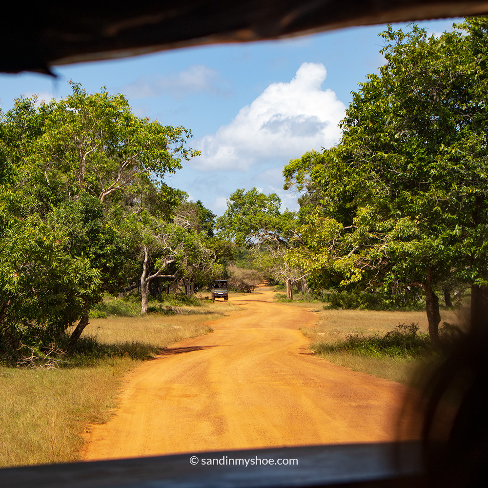 Another jeep spotted during a Wilpattu National Park Safari