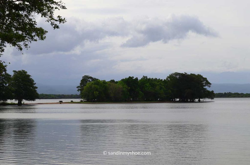 Baby Elephant Island