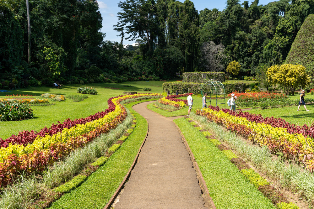 A path in the Botanical Garden of Peradeniya lined with by flowers on both sides.