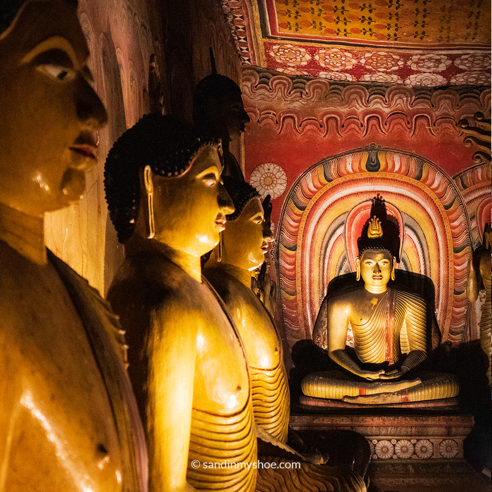 A few of many buddha statues inside one of the caves in Dambulla