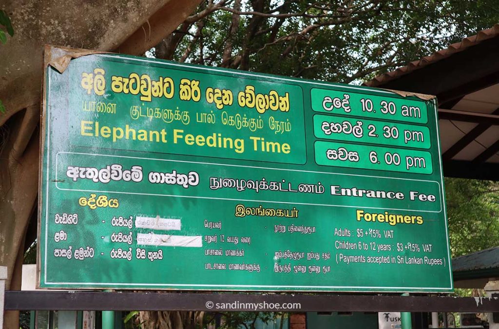 Elephant Transit Home feeding time and entrance fees.
