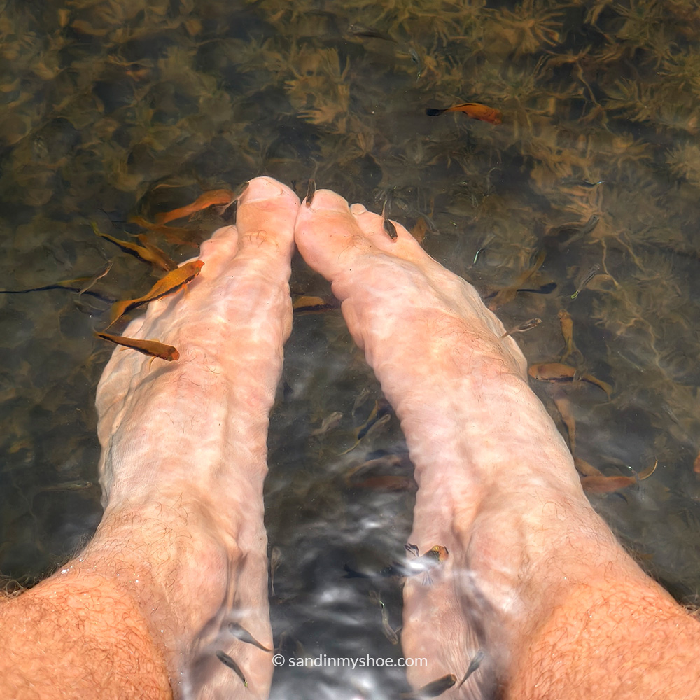 Fish nibbling Petteri feet on top of Lion Rock