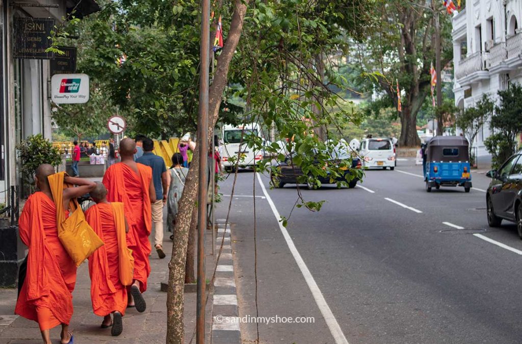 Monks walking on the street of Kandy, Sri Lanka
