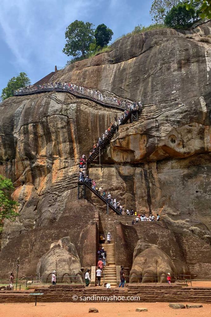 Lion paws and narrows staircase leading to the top