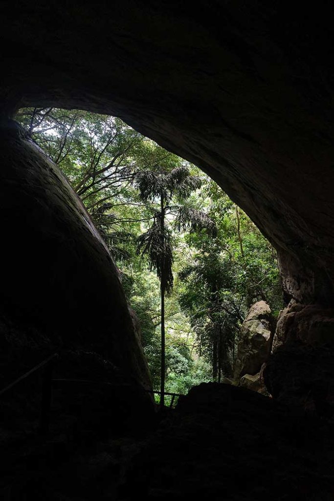 Photo taken inside the cave of the outside.