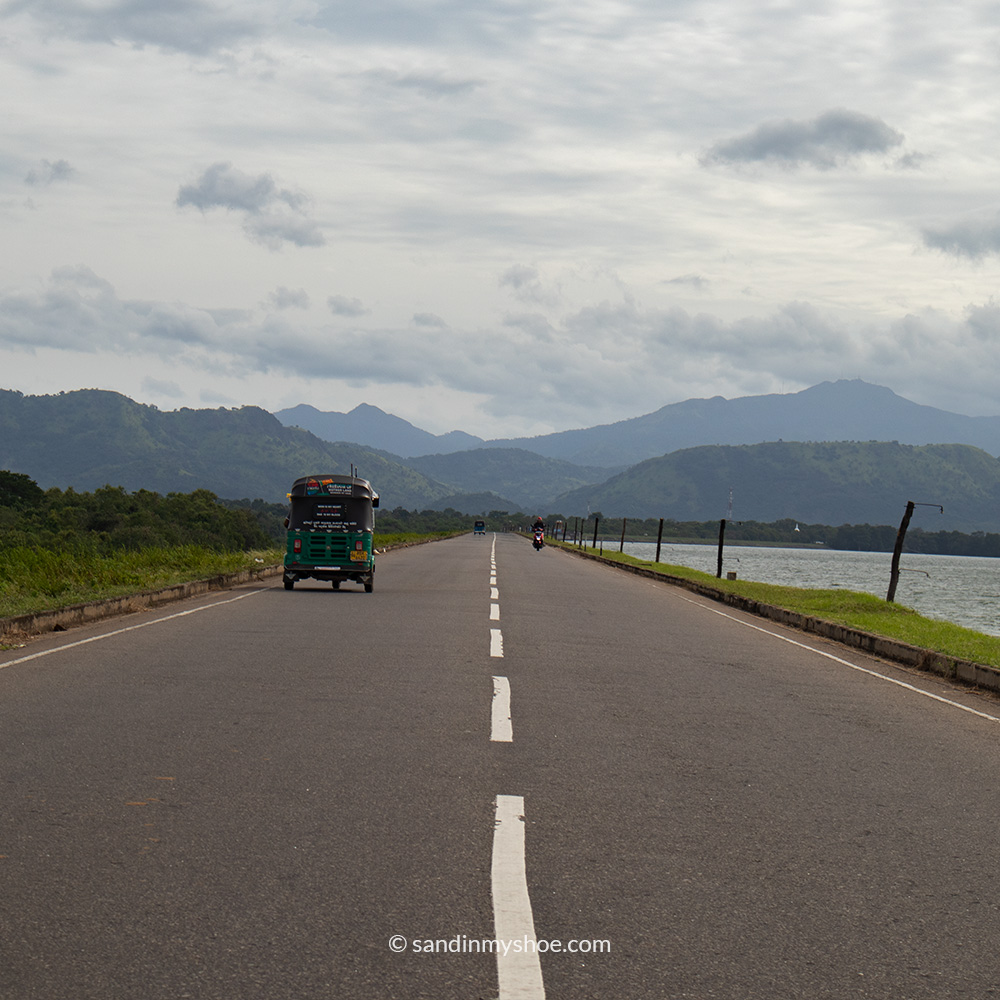 Road next to the Uduwalawe Reservoir 