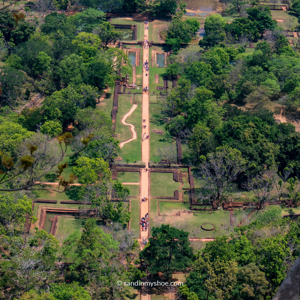 Arial view of the surrounding in Lion Rock 