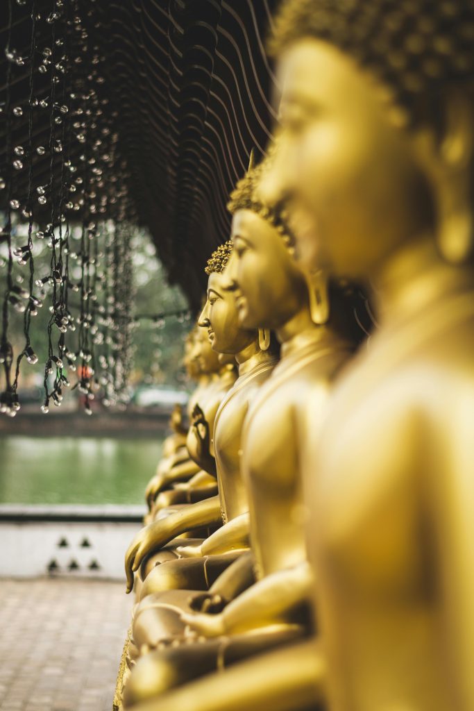 Calm Buddhist statues next to the lake at Gangaramaya Temple