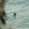 Surfer sitting on a surfboard in Arugam Bay, waiting for a wave during September, showing the calm east‑coast conditions travellers consider when asking if September is a good month to visit Sri Lanka.
