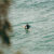 Surfer sitting on a surfboard in Arugam Bay, waiting for a wave during September, showing the calm east‑coast conditions travellers consider when asking if September is a good month to visit Sri Lanka.