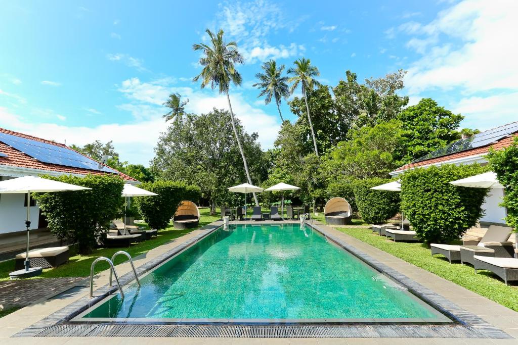 Outdoor pool at Swanee Grand Hotel in Negombo with surrounding loungers and a couple of palm trees
