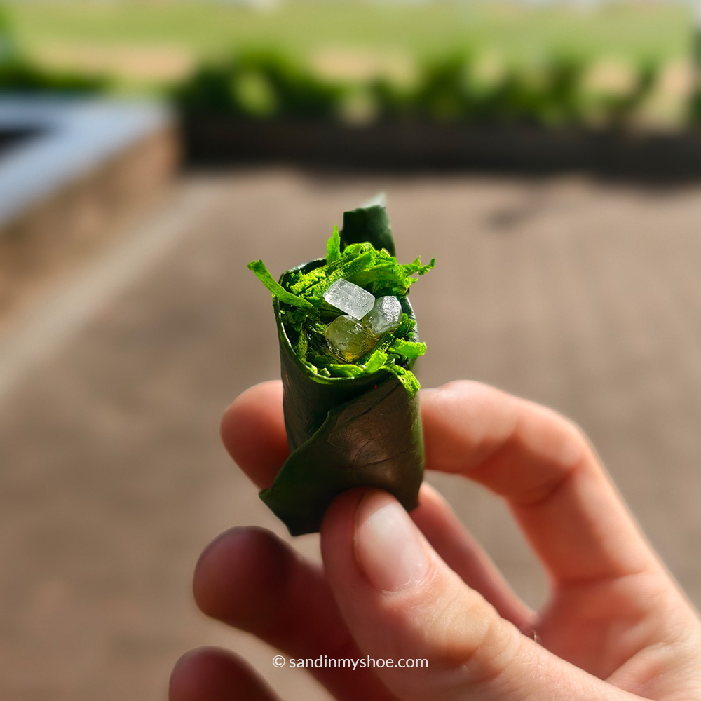 Sweets bought at Galle Face Green.