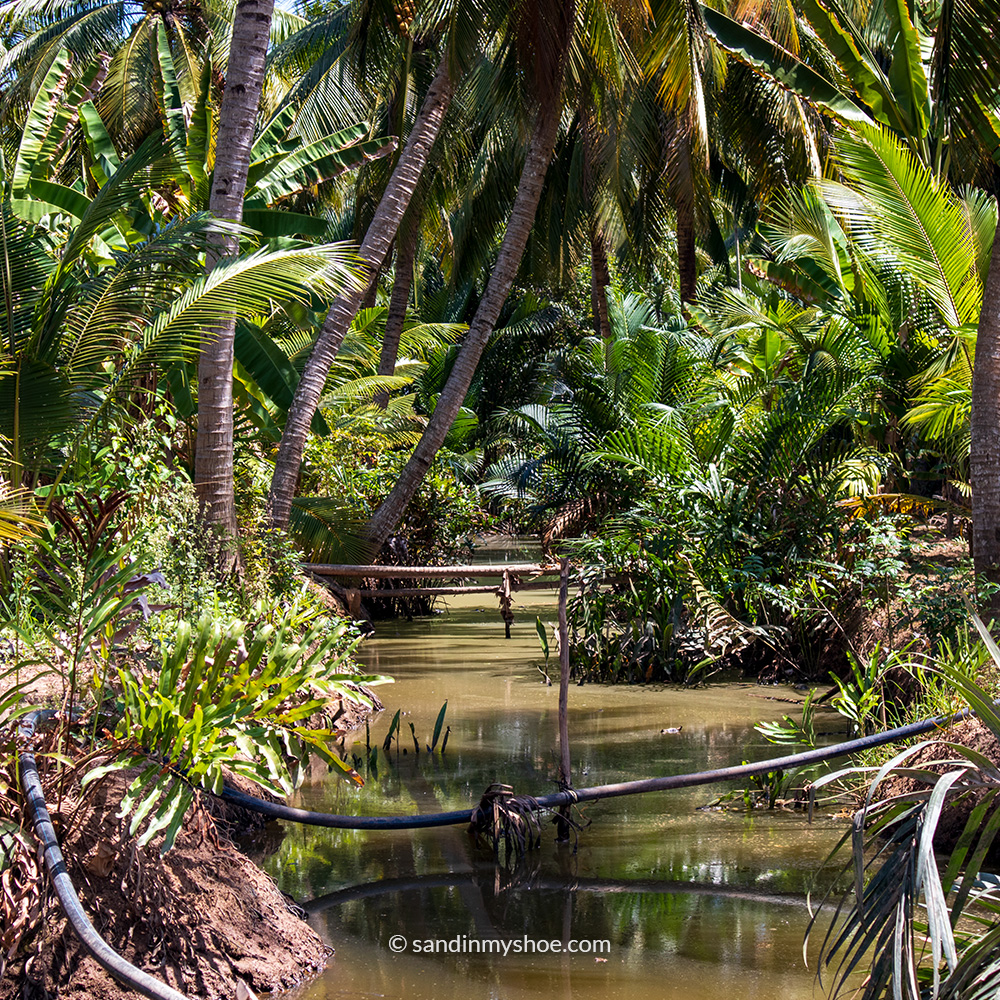 A river canal lined with coconut trees in Ben Tre, Mekong Delta, Vietnam