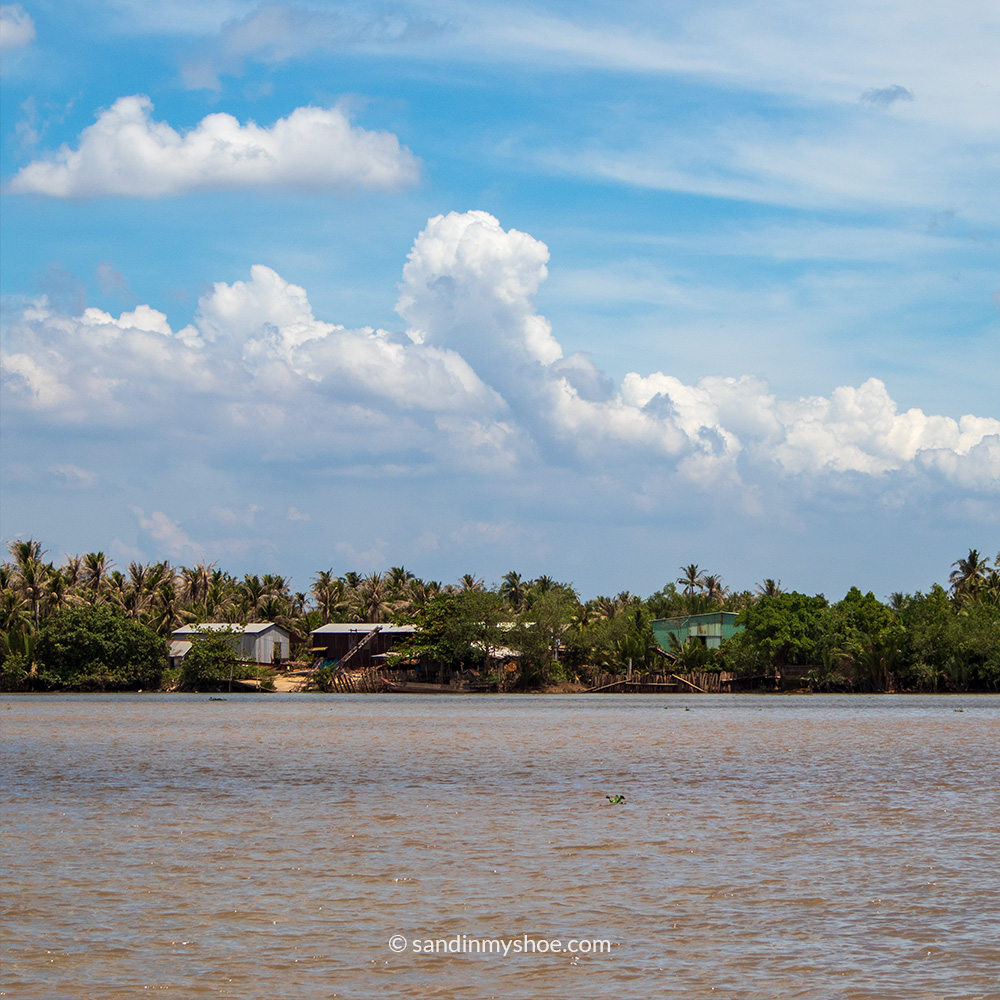 Ben tre river and coconuts view