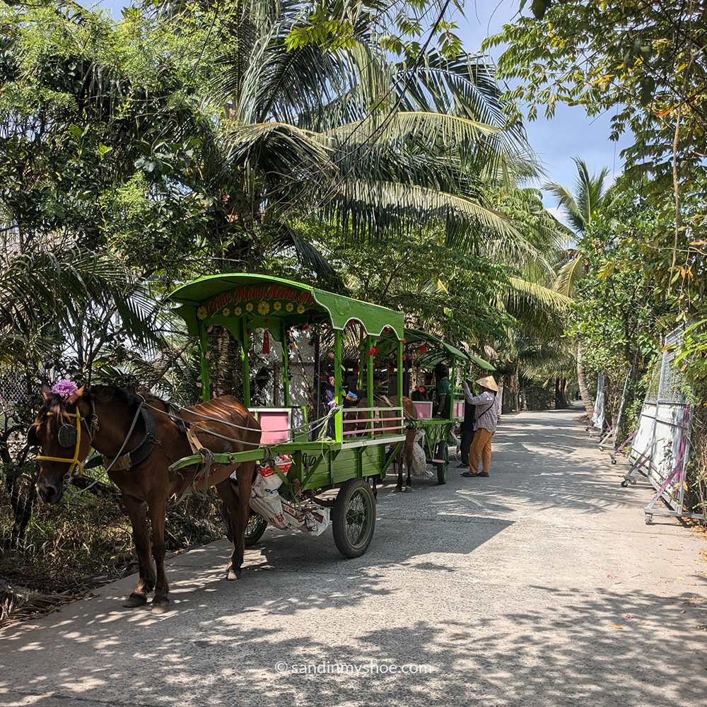 Horse carriage in Unicorn Island, Ben Tre, Mekong Delta
