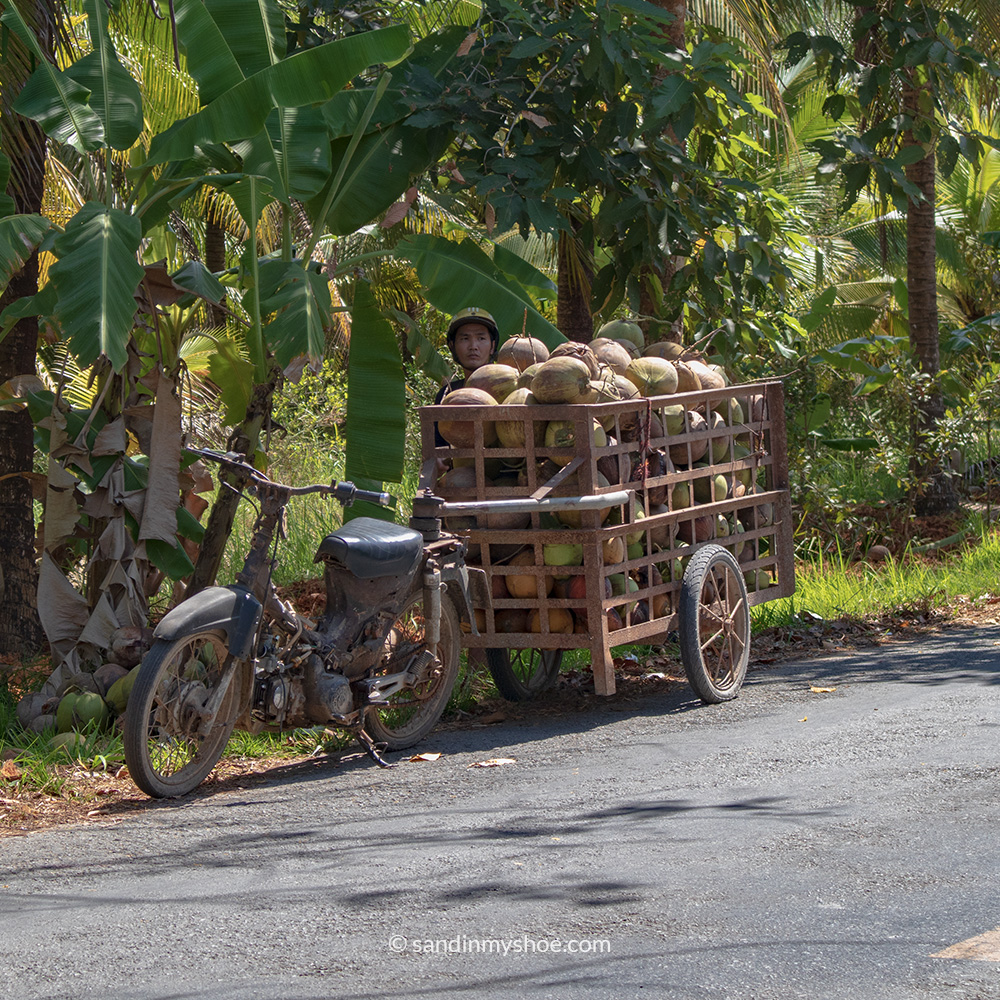 A man loading fresh coconuts onto the wagon attached to the motorbike.