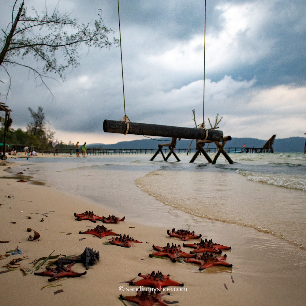 Starfish beach in Phu Quoc, Vietnam