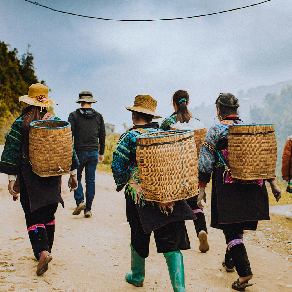 Workers walking on a road in Sapa with terraced rice fields around them