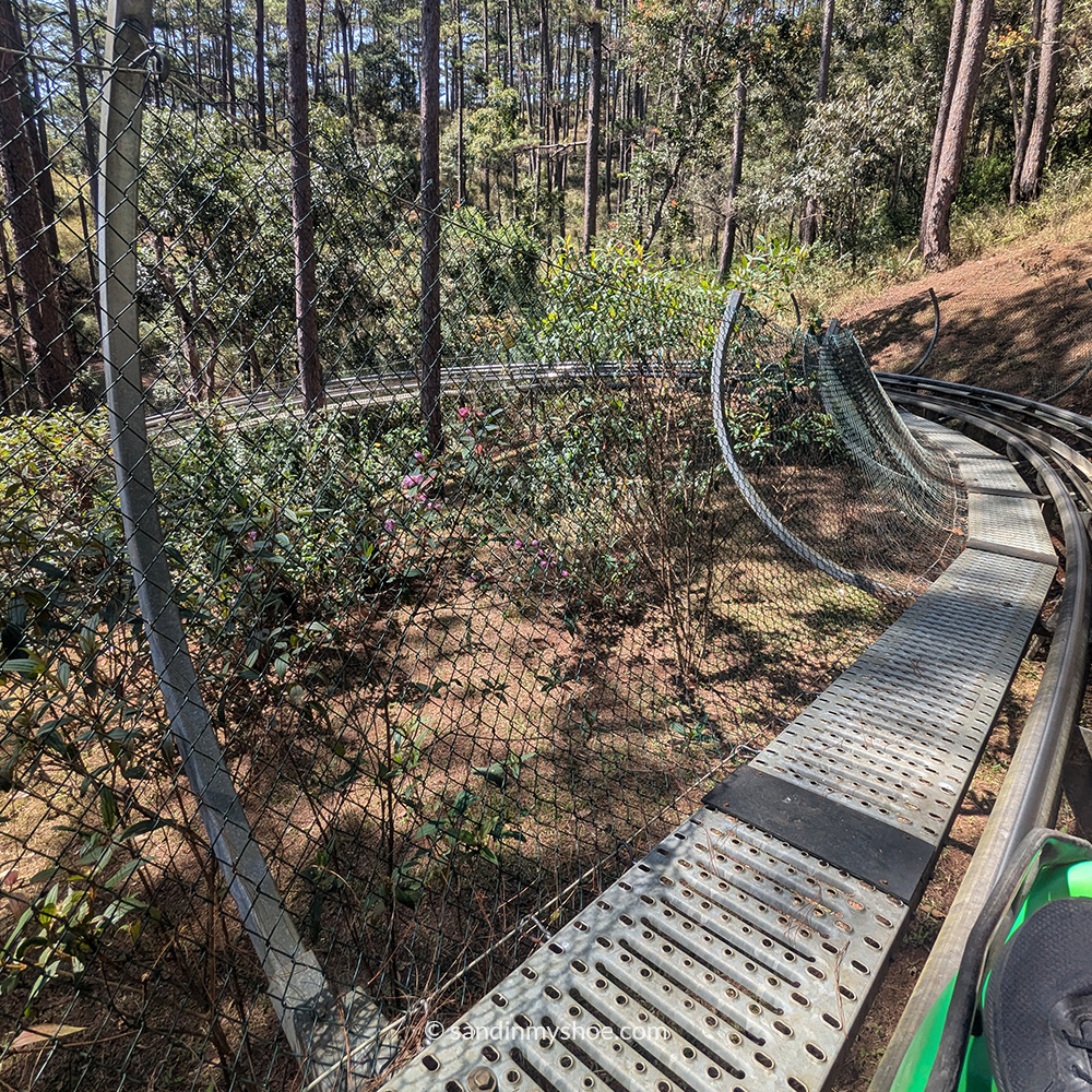 Alpine Coaster tracks in the forest