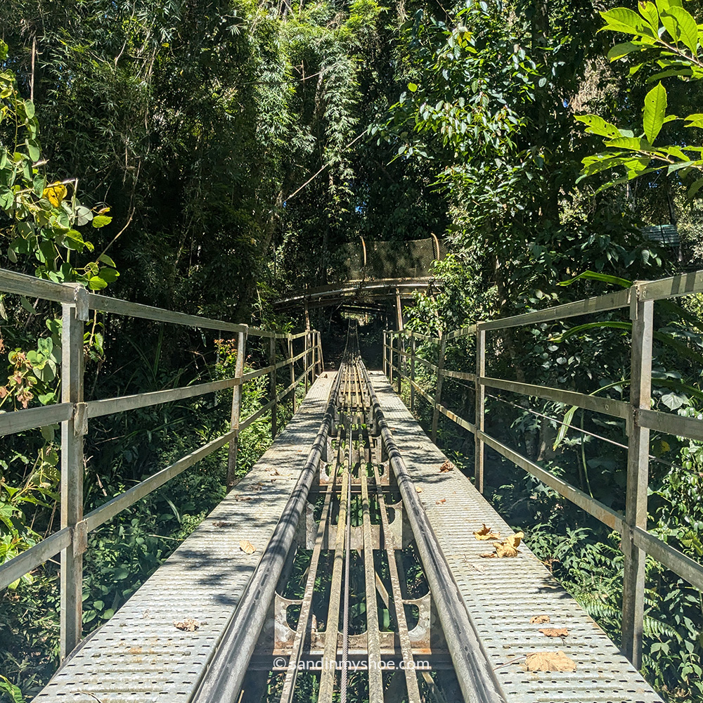 Alpine coaster tracks running through the forested hillside.